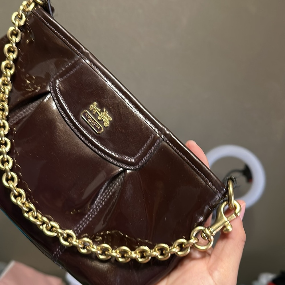 Coach Burgundy/Brown Bag
